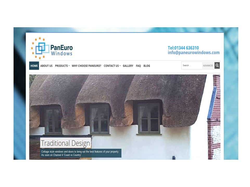 PanEuro BEFORE for WEBSITE RENOVATION page